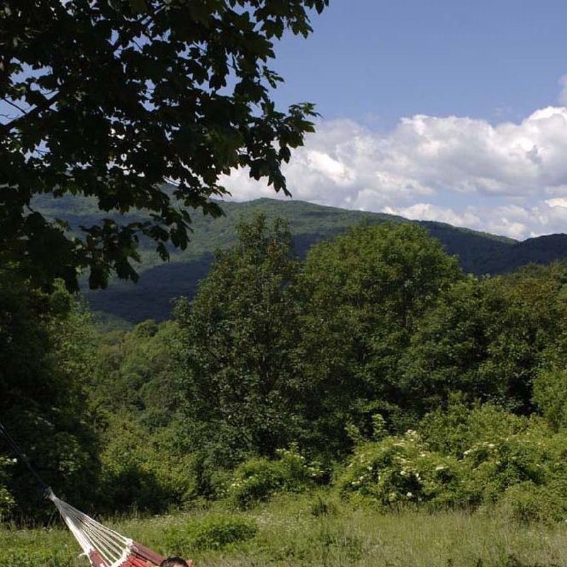 AMAZONAS - AZ-1019300 Paradiso Terracotta - hamak