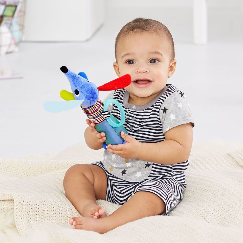 Skip Hop - Piszczałka Jamnik Wesołe podwórko