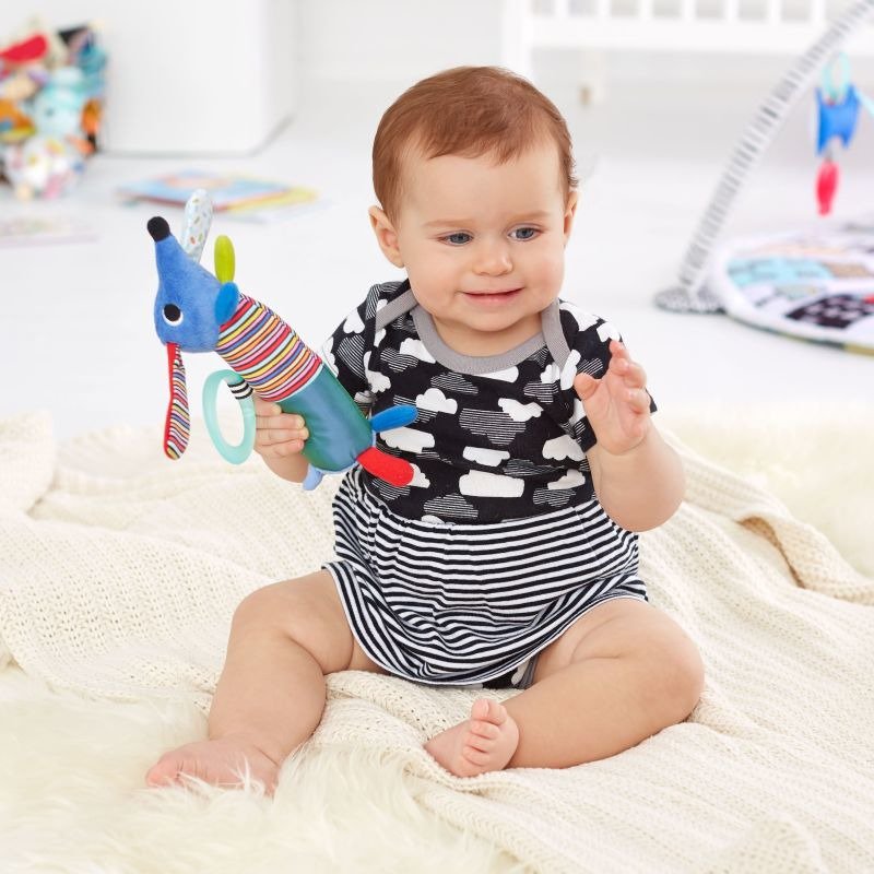 Skip Hop - Piszczałka Jamnik Wesołe podwórko