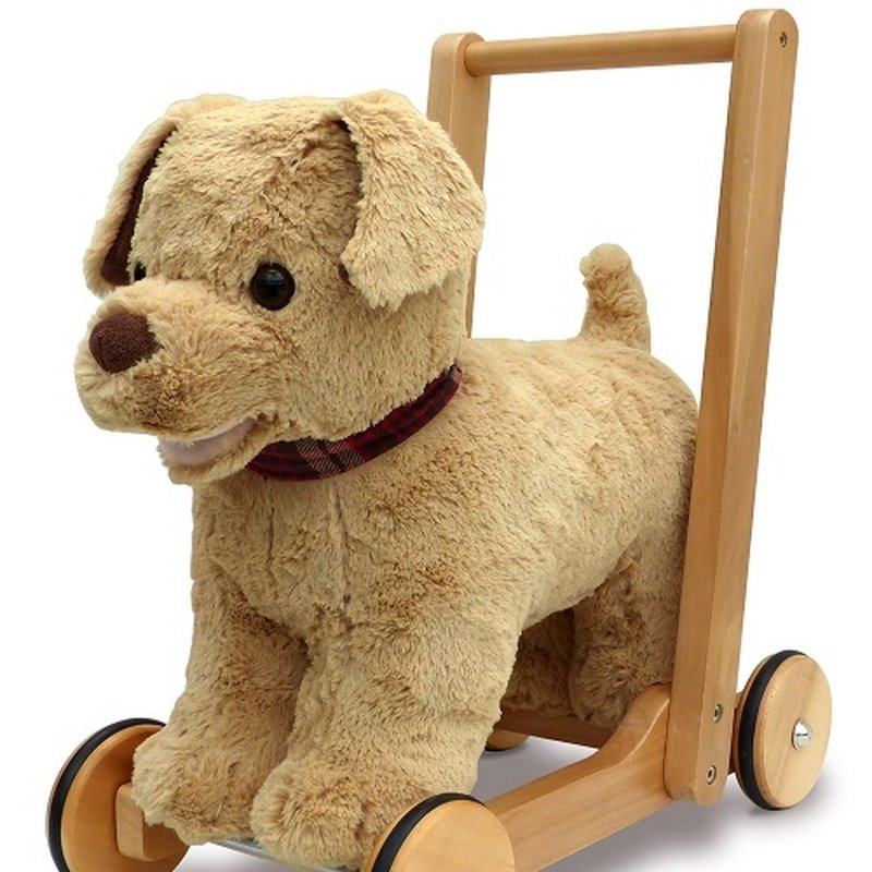 Little Bird Told Me Pchacz Piesek Dexter