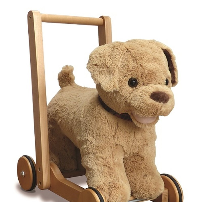 Little Bird Told Me Pchacz Piesek Dexter