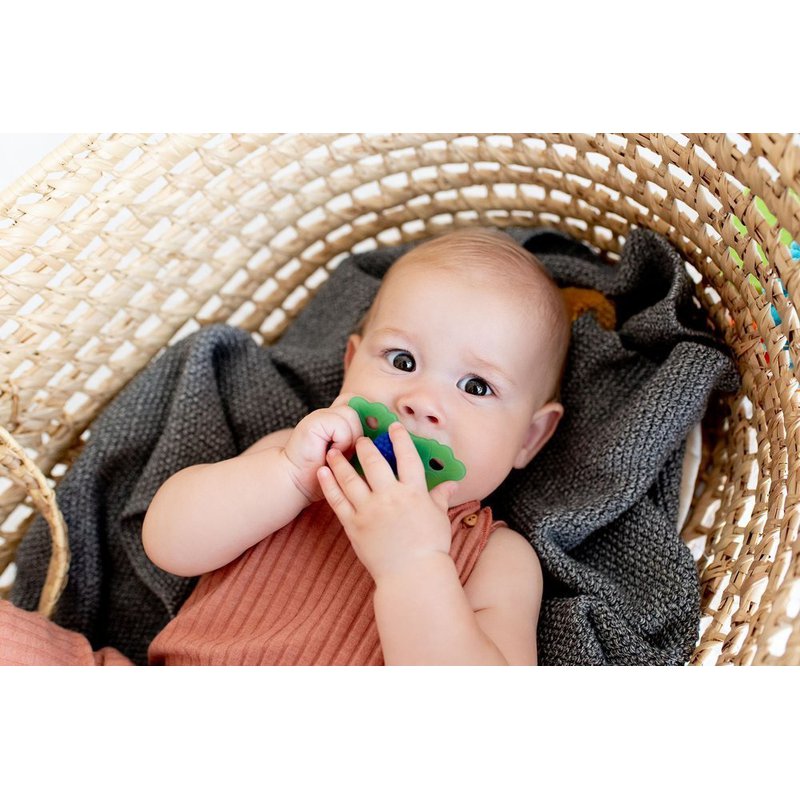 Gryzak, Soczysta Jeżyna, RaZ Baby