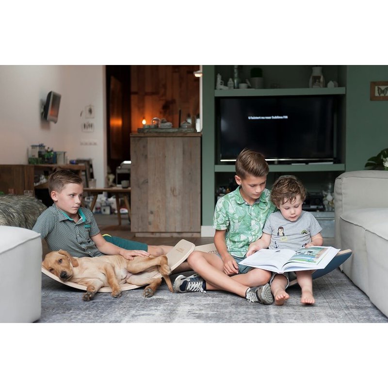 Deska do balansowania Starter Transparent z filcem, Baby Mouse, Wobbel