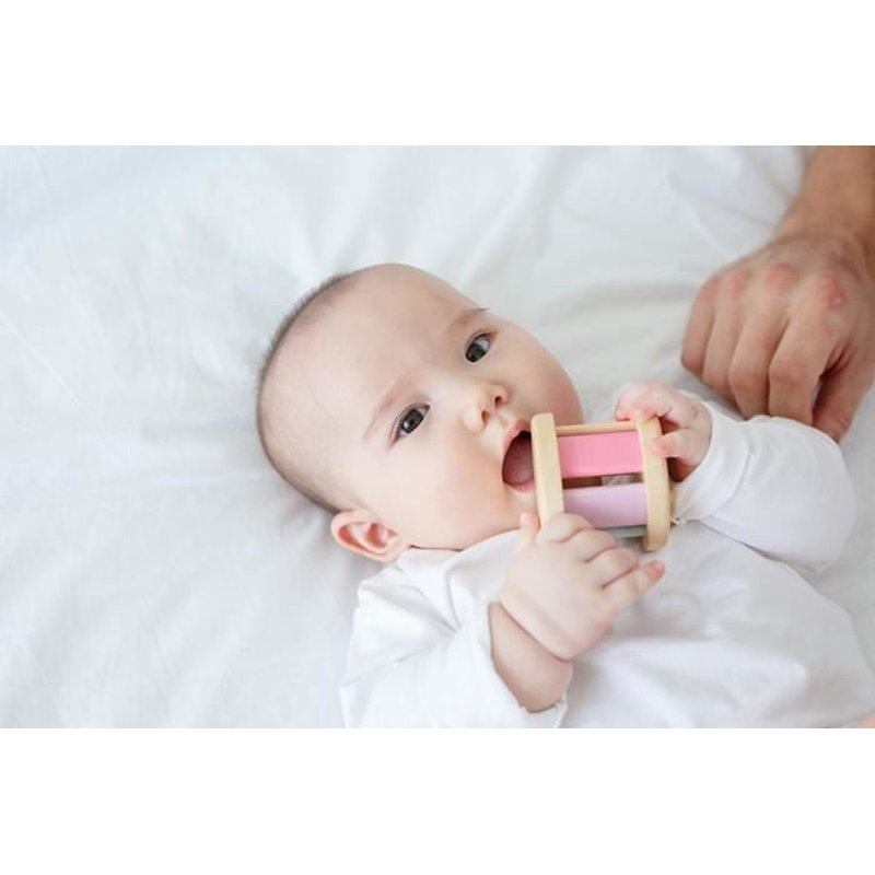 Plan Toys - Pastelowa grzechotka roller, PLTO-5255