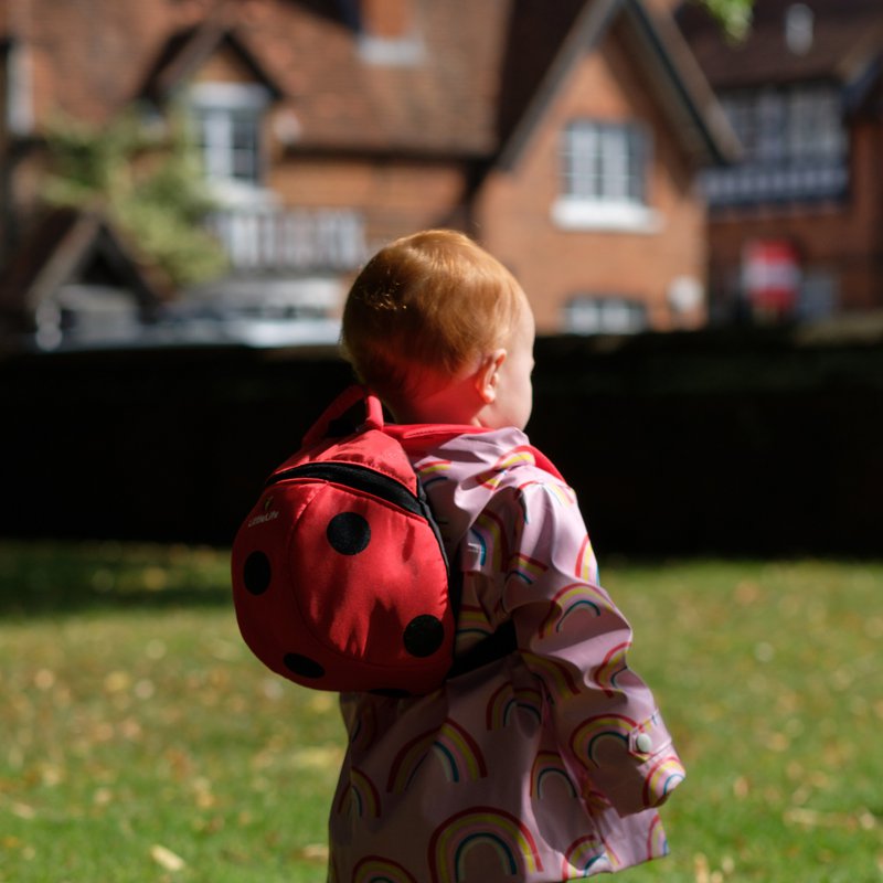 Plecaczek LittleLife Animal Pack Biedronka