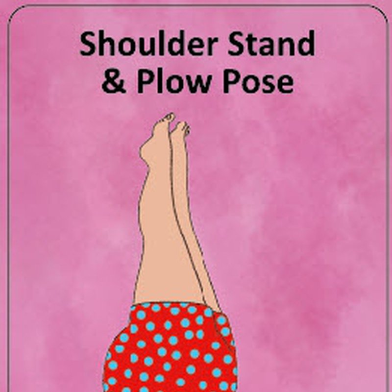 Karty Doda Yoga The Purple Cow - Relaks i Spokój wer. ang