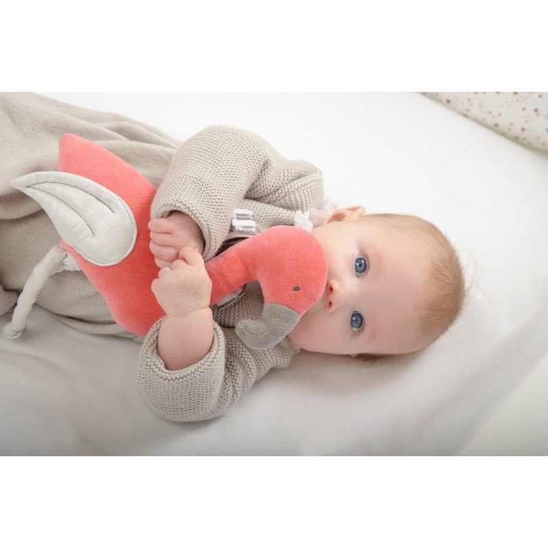 Pozytywka, Flaming, Kikadu