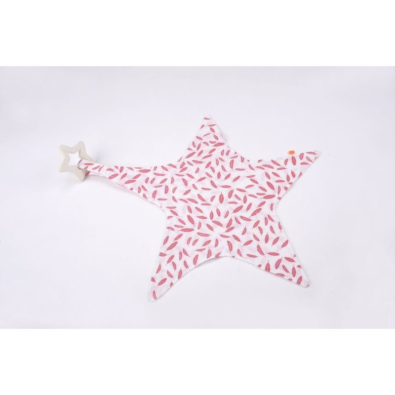 Gryzak Gwiazdka, kolekcja Flaming, Kikadu