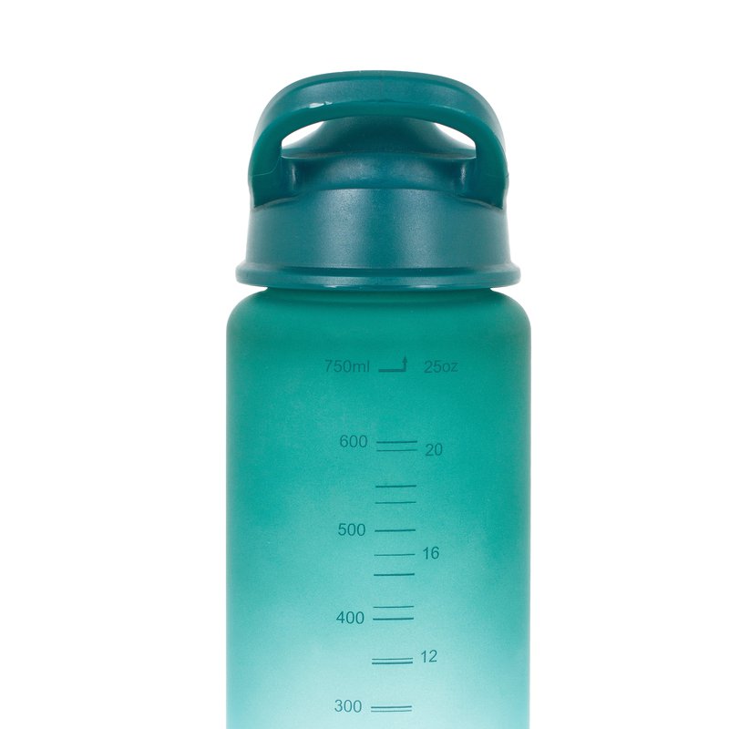 Bidon Flip-Top Lifeventure 750 ml - Teal