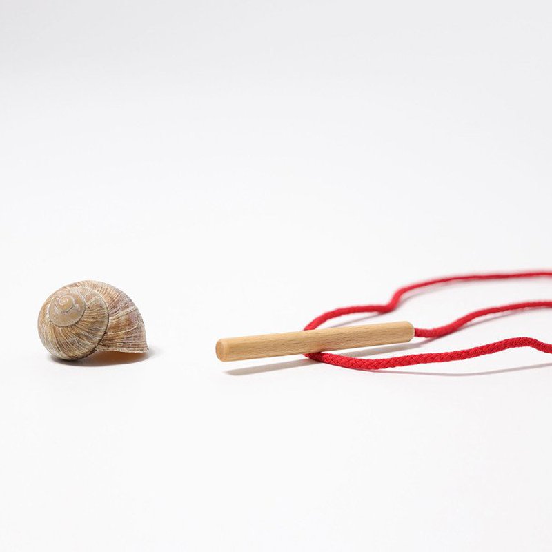 Drewniana Igła, Grimm's