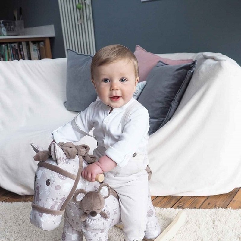 Little Bird Told Me Konik na Biegunach 9m+