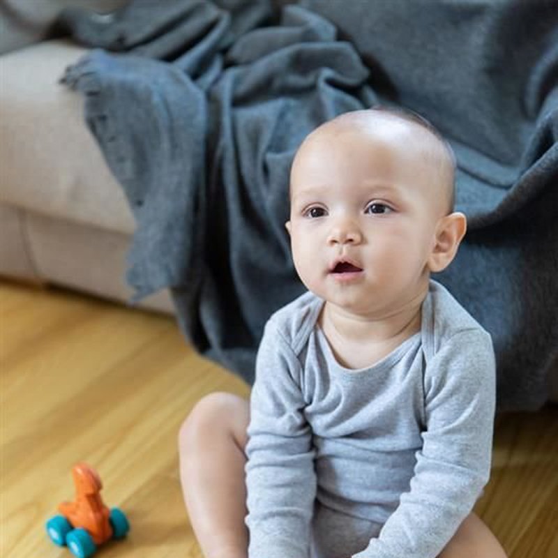 Pojazd dinozaur - Rex, Plan Toys®