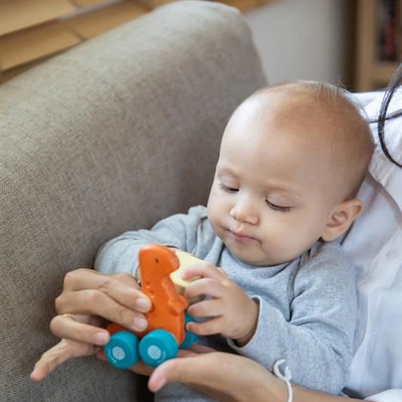 Pojazd dinozaur - Rex, Plan Toys®