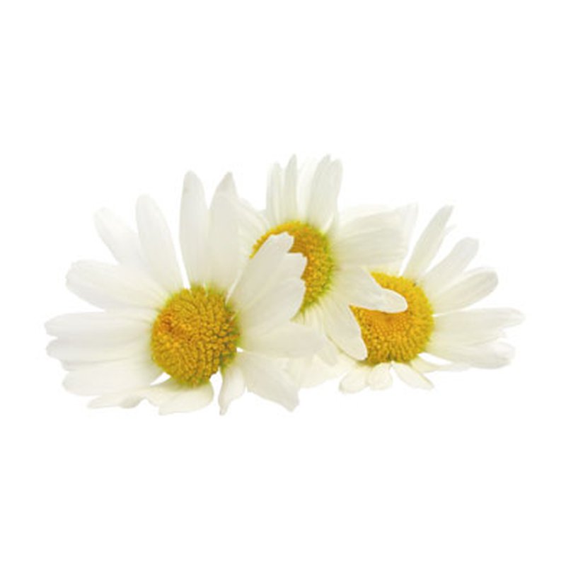 NIKEL, Krem na przebarwienia ze Stokrotką, 50ml