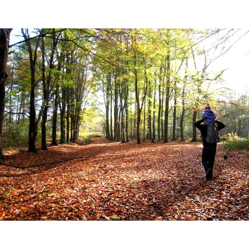 Plecak Organizer dla mamy Picos, czarny, PacaPod