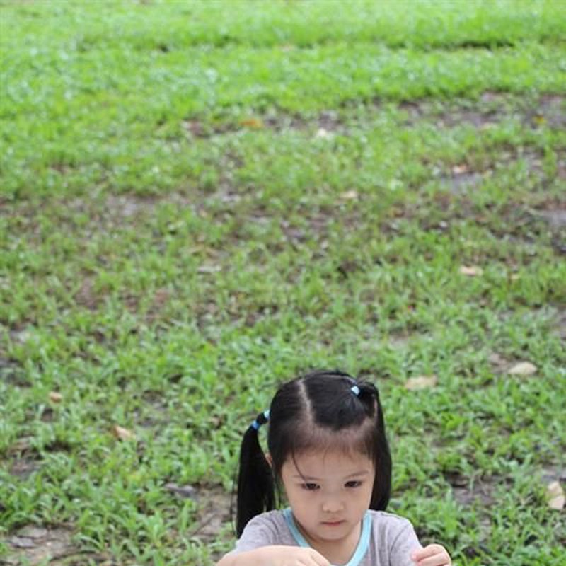 Balansujące drzewko, układanka drewniana, Plan Toys®