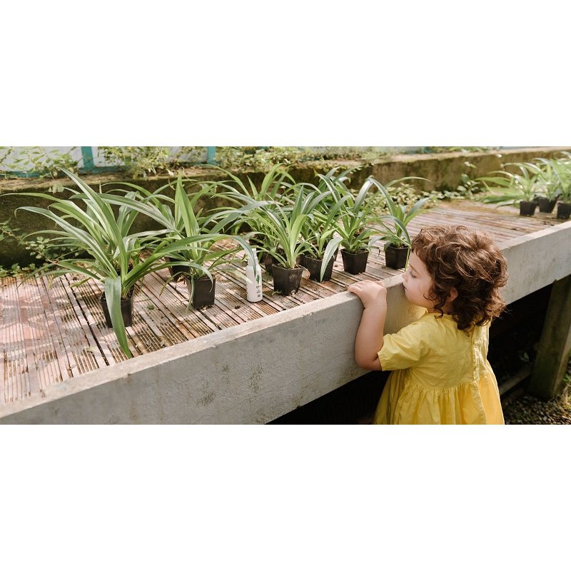 Linea MammaBaby - Spray odstraszający owady Baby Zeta 100ml